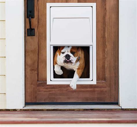 rf id dog door|best electronic door for dogs.